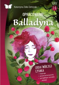 Opracowanie lektury \