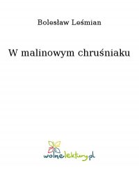 W malinowym chruśniaku - Bolesław Leśmian