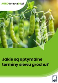 Jakie są optymalne terminy siewu grochu? - Magdalena Świąder 