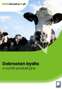 Dobrostan bydła a wyniki produkcyjne - Joanna Cała