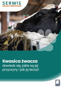 Kwasica żwacza – dowiedz się, jakie są jej przyczyny i jak ją leczyć - Michał Tchórzewski 
