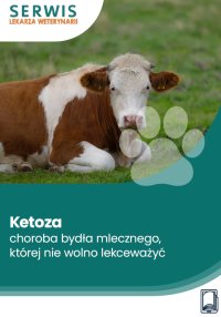 Ketoza – choroba bydła mlecznego, której nie wolno lekceważyć - Michał Tchórzewski 
