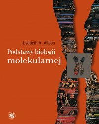 Podstawy biologii molekularnej - Lizabeth A. Allison, Zofia Szweykowska-Kulińska, Artur Jarmołowski