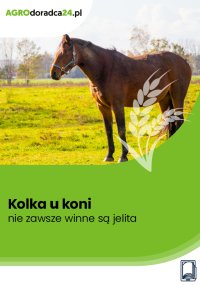 Kolka u koni – nie zawsze winne są jelita - Kinga Szczepanik 