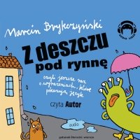 Z deszczu pod rynnę, czyli jeszcze raz o wyrażeniach, które pokazują język - Marcin Brykczyński