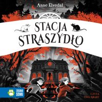 Stacja Straszydło - 