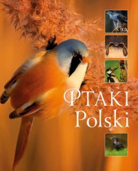 Ptaki Polski (Wyd. 2016) - Karolina Matoga