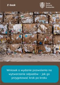 Zbiorcze podsumowanie sprawozdawczości w BDO - Aleksandra Gembora 