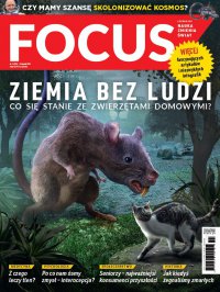 Focus 11/2021 - Opracowanie zbiorowe 