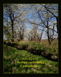 Ballady ludowe Europy zachodniej i południowej - Antologia 