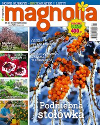 Magnolia 1/2016 - Opracowanie zbiorowe 