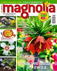 Magnolia 4/2016 - Opracowanie zbiorowe 